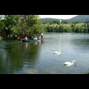 DSC2460.jpg