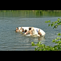DSC2496.jpg